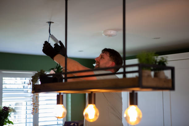 Best Electric Panel Repair  in Wentzville, MO